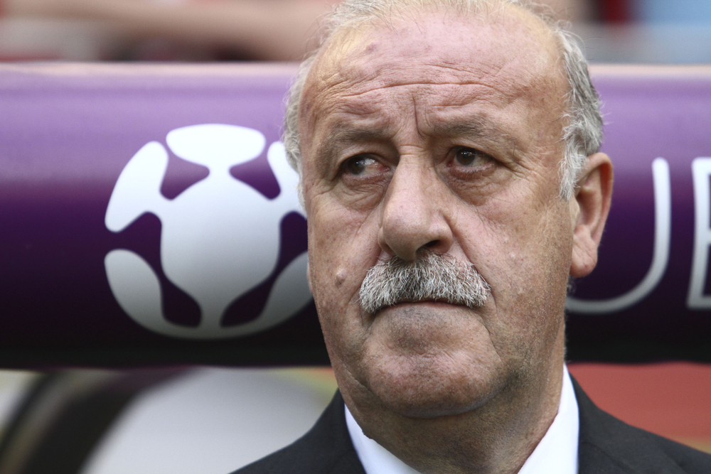 Spain manager Vicente del Bosque