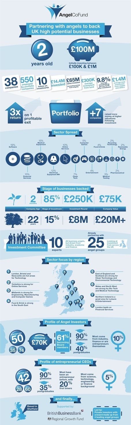 Angel CoFund in figures - Infographic