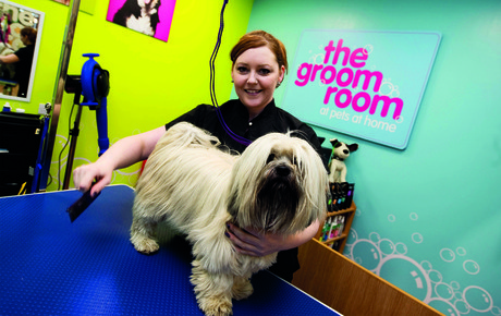 Pets at Home grooming