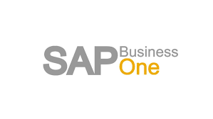SAP Business One has offerings for small business owners
